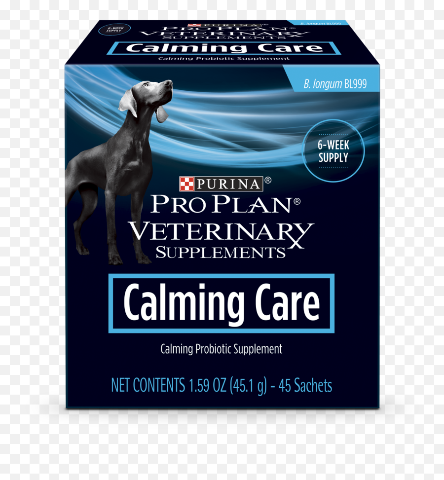 Sound U0026 Noise Fears Phobias Reactivity U2014 Homeskooling 4 Dogs - Purina Calming Care Png,Icon 1000 Elsinore Motorcycle Boots