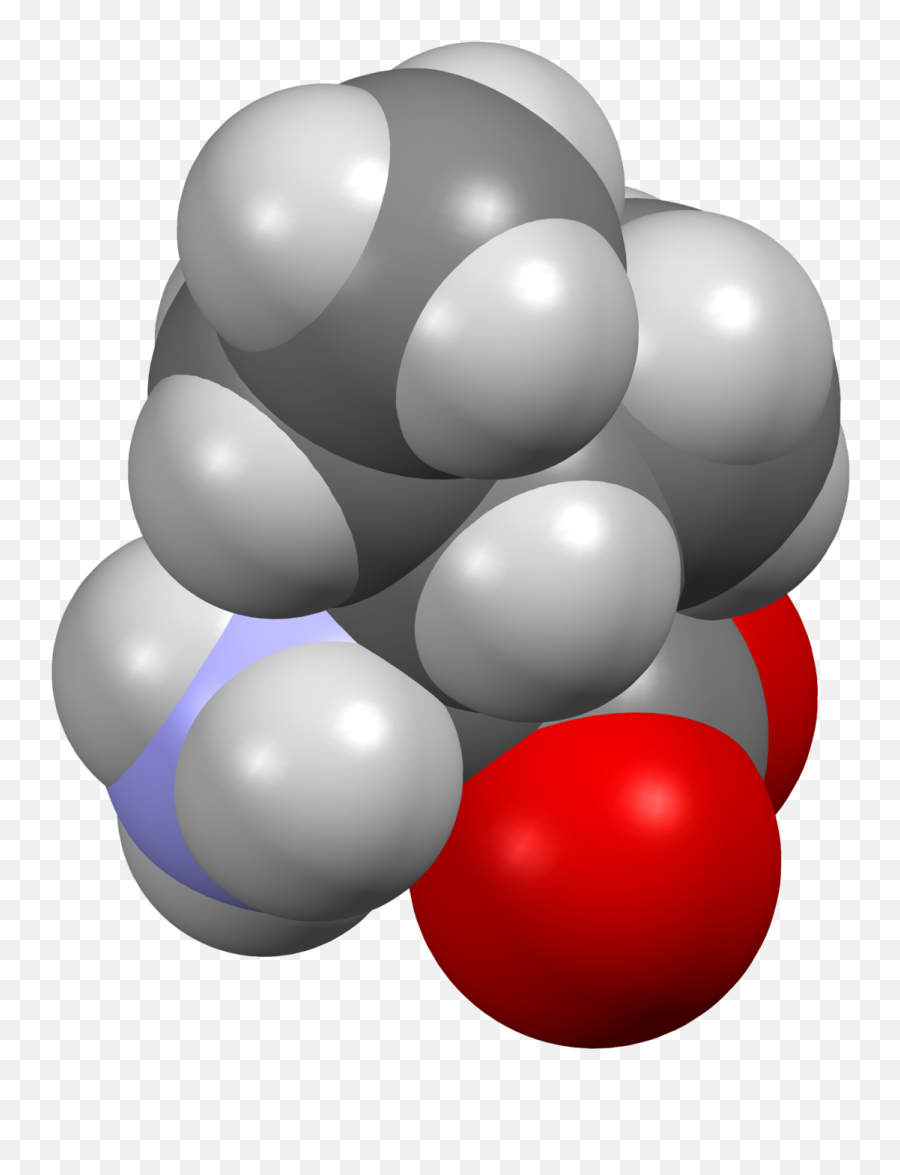 Fileisoleucine - Fromxtal3dsfpng Wikipedia Isoleucine Space Filling,Sf Icon