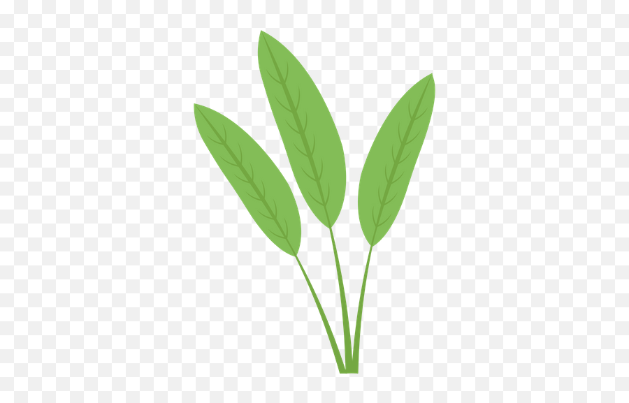 Available In Svg Png Eps Ai Icon Fonts - Grass,Herbs Png