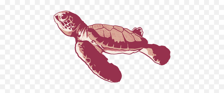 Sea Turtle Stroke Baby Onesie Transparent Png U0026 Svg Vector - Loggerhead Sea Turtle,Sea Turtle Icon