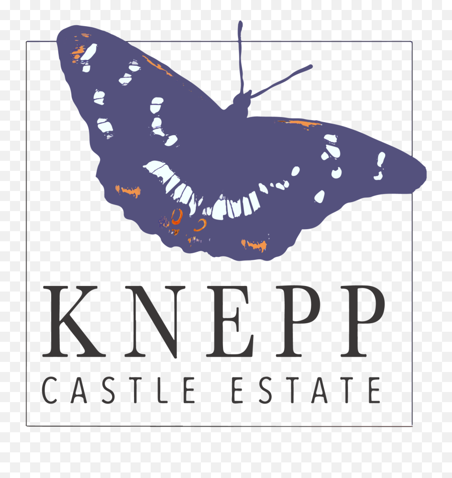 Rewilding The Garden Blog U2014 Knepp Castle Estate - Knepp Wild Range Meat Png,Hoverfly Icon