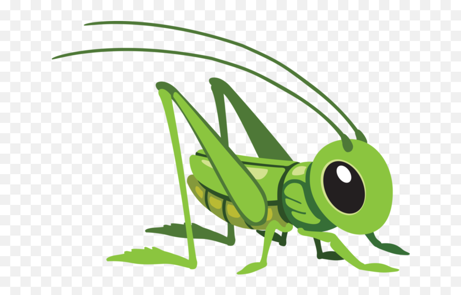 Insect Clipart Grasshopper - Cartoon Grasshopper Png,Grasshopper Png - free  transparent png images 