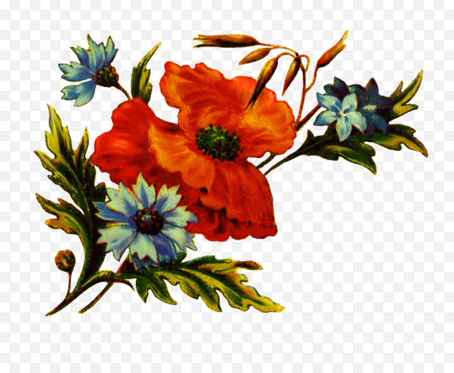 Digital Scrapbooking Flowers - Flower Transparent Clip Art Decoration Png,Flower Clipart Transparent
