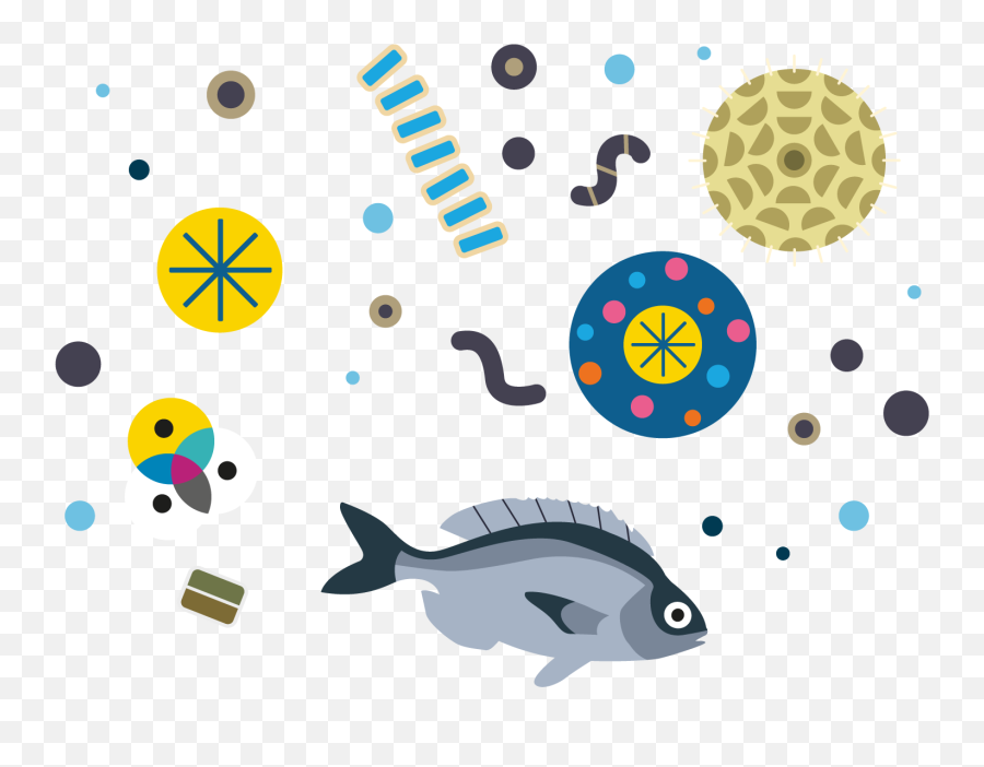Hd Fish And Plankton Illustration - Plankton Illustration Png,Plankton Png