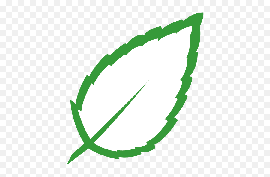 Cropped - Illustration Png,Mint Leaf Png