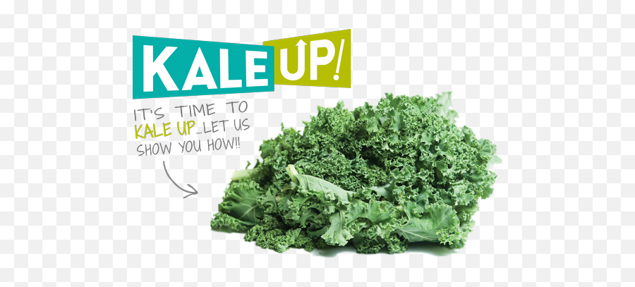 Download Hd Itu0027s Time To Kale Up - Cruciferous Vegetables Cruciferous Vegetables Png,Kale Png