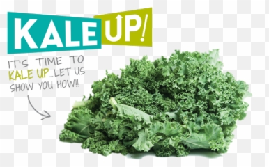 Download Hd Itu0027s Time To Kale Up - Cruciferous Vegetables Cruciferous Vegetables Png,Kale Png