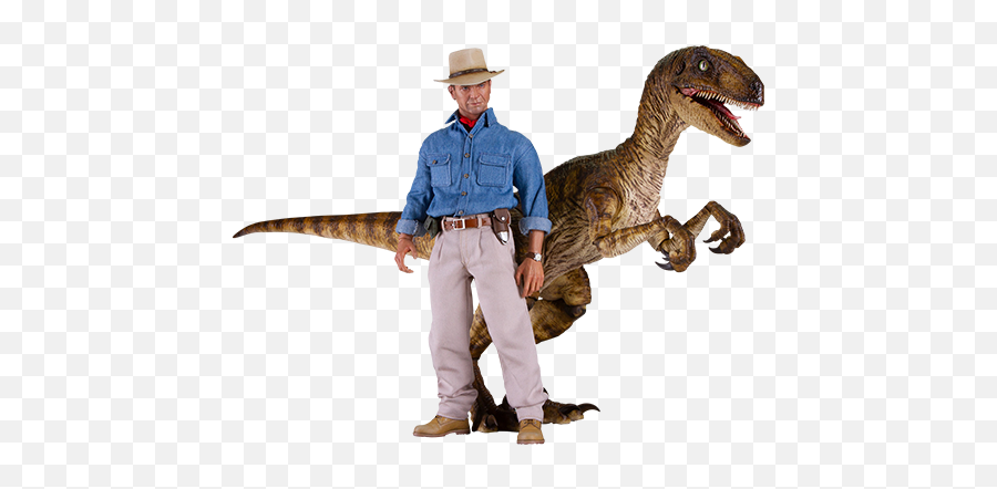 Jurassic Park Dr Alan Grant And Velociraptor Sixth Scale Figure Set From Chronicle Collectibles - Jurassic Park Chronicle Collectibles Png,Velociraptor Png