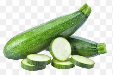 Squash - Zucchini Clipart Png,Squash Png