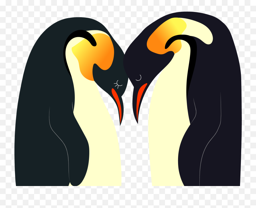 Dribbble - Penguin Drawings In Love Png,Penguin Png