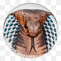 Cobra U2013 Cit Coin Invest Ag - Coin Png,King Cobra Png