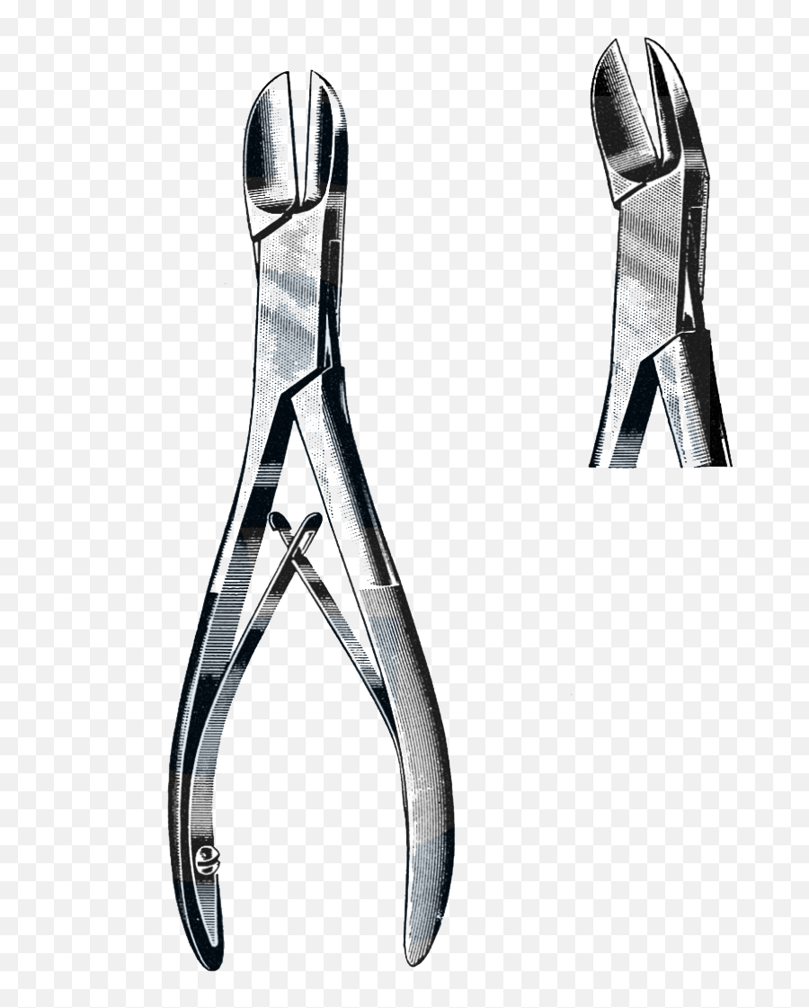Liston Bone Cutting Forceps Angular 7 12 19 Cm - Pliers Png,Liston Png