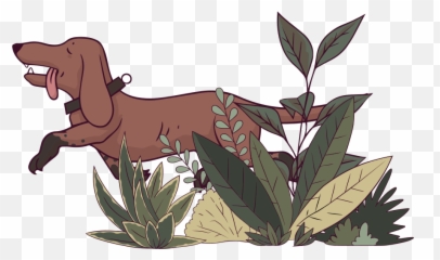Vector Collages Dachshund In The Bushes U2014 Free - Illustration Png,Dachshund Png