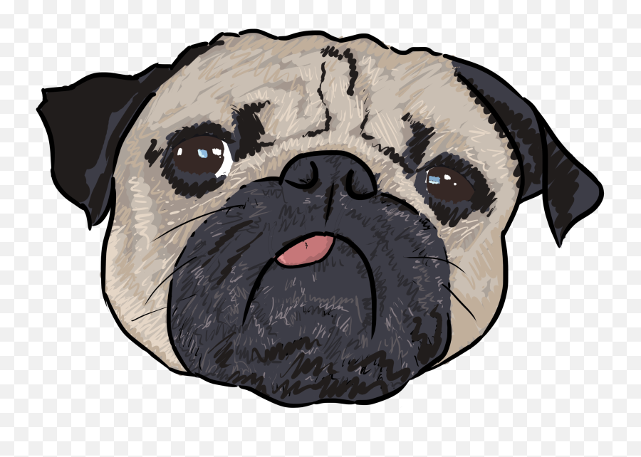 2 - Why Are You A Pug Why Are You A Dog Png,Pug Png