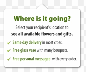 Flowers To Mexico Daflorescom - Screenshot Png,Mexican Flowers Png
