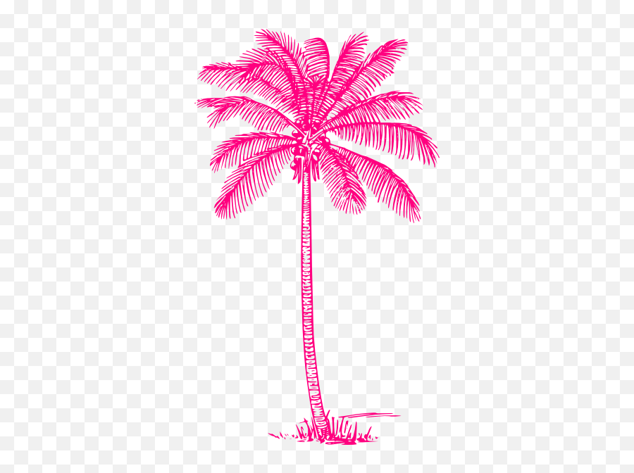 Coconut Palm Tree Hot Pink Clip Art - Vector Tall Tree Clipart Black And White Png,Palm Trees Transparent