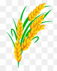 Rice Euclidean Vector - Rice Grain Vector Transparent Transparent Rice Vector Png,Grain Png