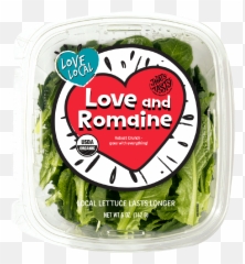 Love And Romaine Organic Lettuce - Food Storage Containers Png,Romaine Lettuce Png