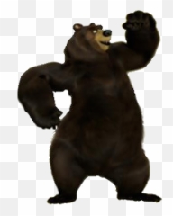 Vincent The Bear - Over The Hedge Bear Png,Hedge Png