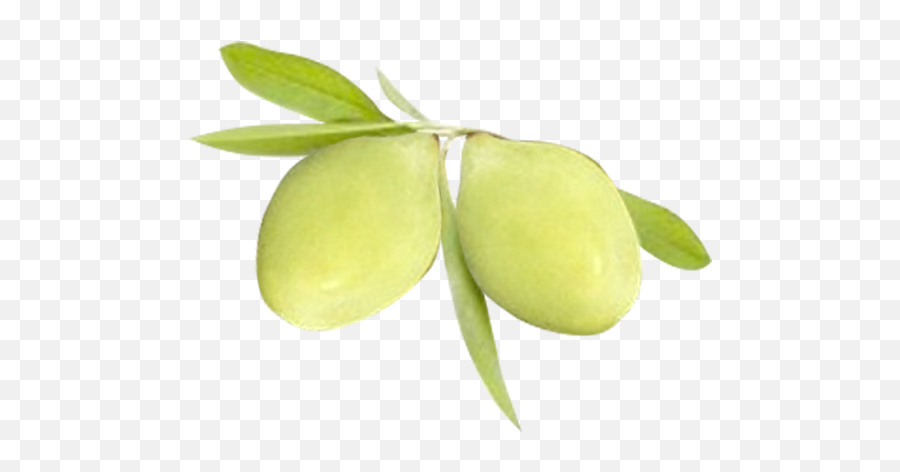 Download Kakadu Plum Png Image With - Kakadu Plum Photo Free,Plum Png