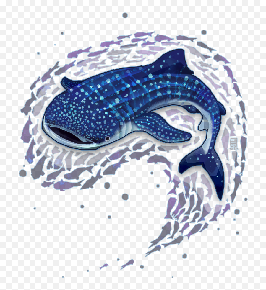 Stormful - Realistic Whale Shark Drawing Png,Whale Shark Png
