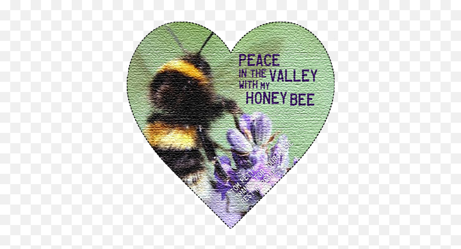 Lyrics From One Of My Favorite Tom Petty Songs Honey Bee - Tom Petty Honey Bee Png,Tom Petty Logo