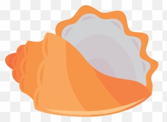 Seashell Clipart Free Download Transparent Png Creazilla - Dish,Seashell Clipart Png