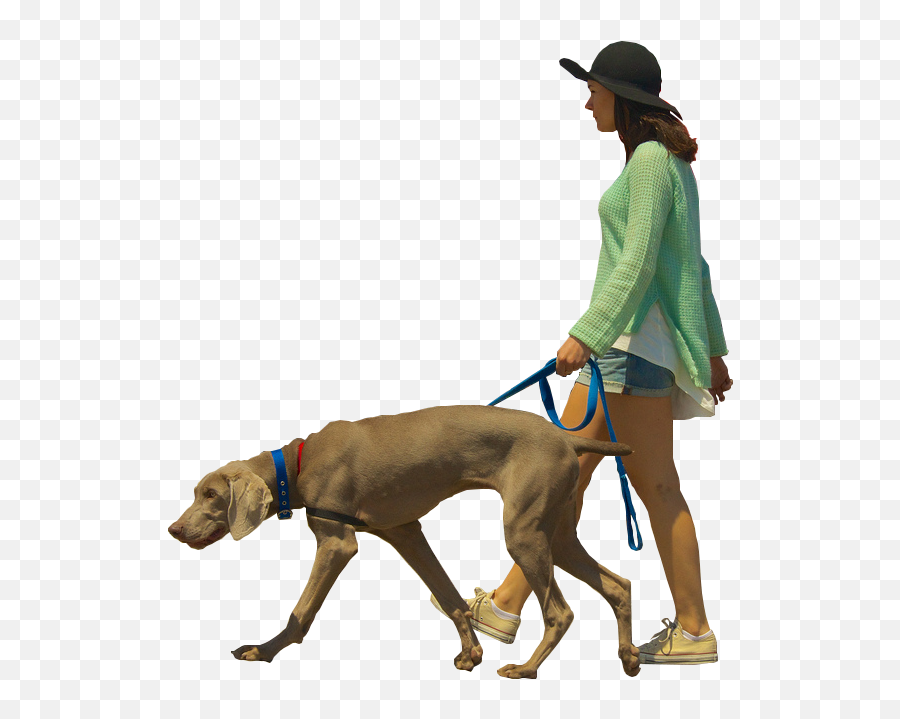 Dog Walking Architectural Rendering - Dog Png Download 571 Architecture People Walking Png,People Walking Dog Png