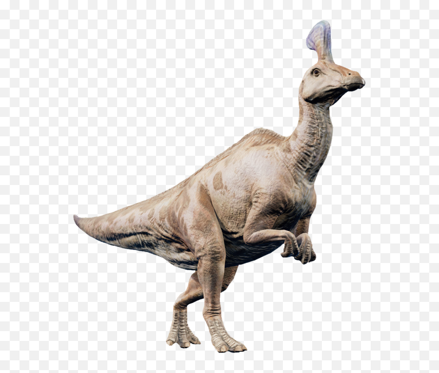 Jurassic World Evolution Wiki - Jurassic World Evolution Tsintaosaurus Png,Evolution Png