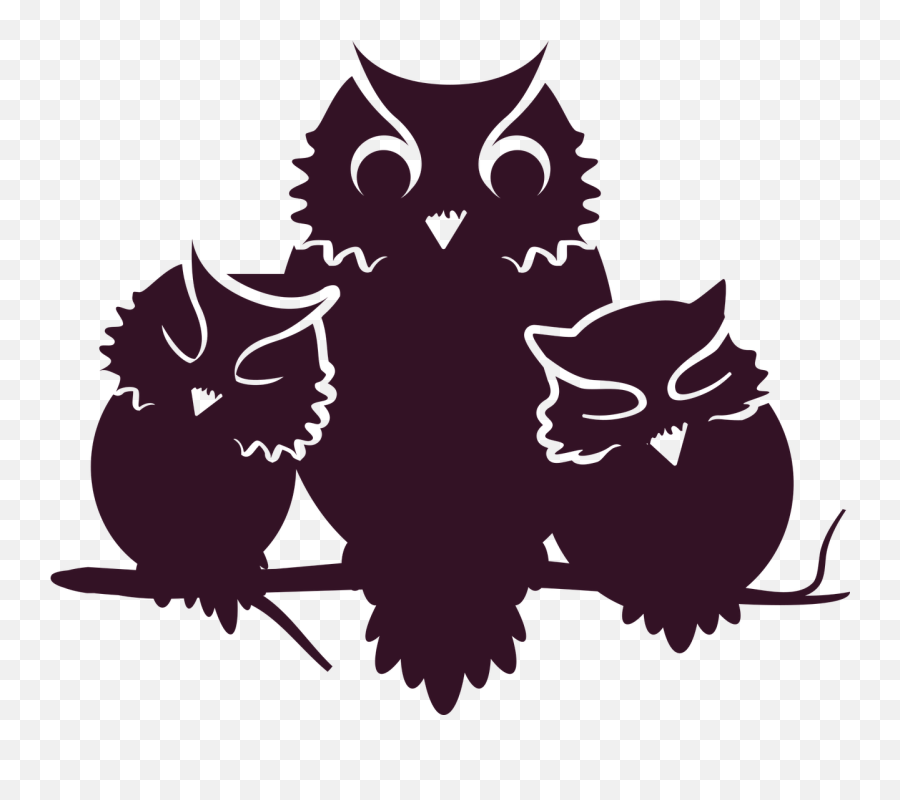 Owl Owlets Baby - Silhouette Eule Auf Ast Png,Owl Silhouette Png