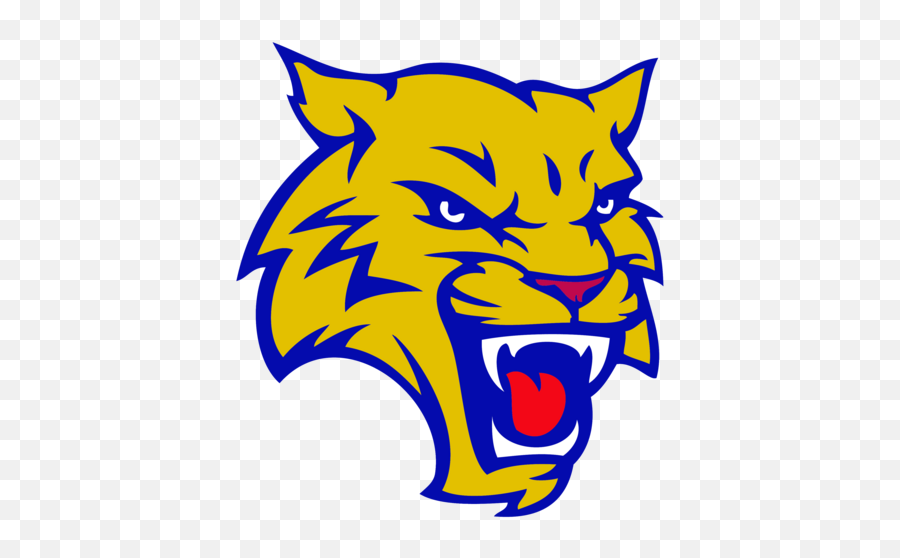 The Wolvo Wildcats - Dunbar High School Wildcat Png,Wildcat Icon