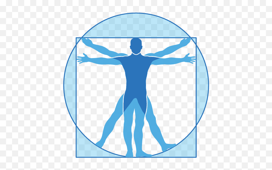 Vitruvian Man - Vitruvian Man Png,Vitruvian Man Icon