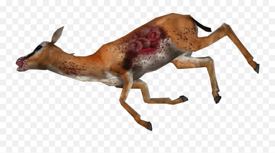 Gazelle Png Transparent Gazellepng Images Pluspng - Dead Gazelle Png,Deer Png