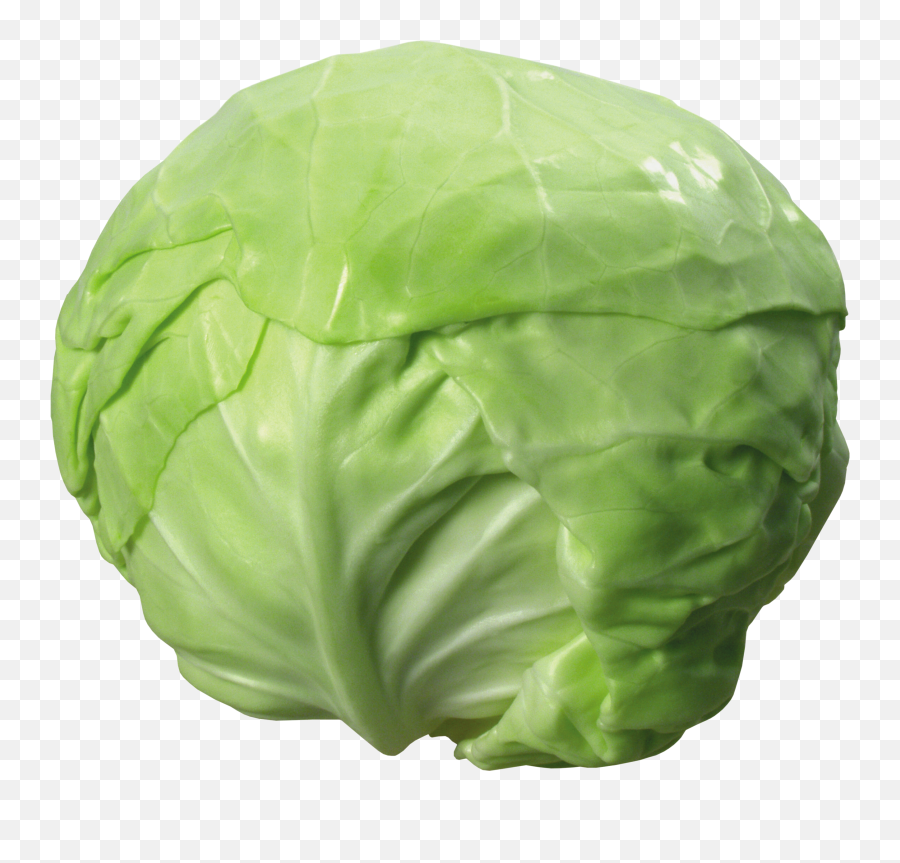 Cabbage Transparent Png Image