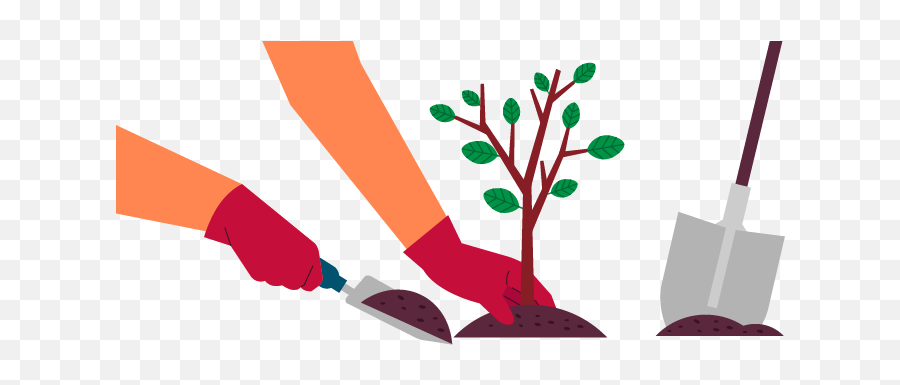 Planting Clipart Tree - Plant A Tree Clipart Png,Plant Clipart Png