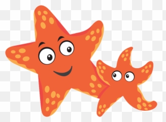 Water Star - Puddle Ducks Swim Academy Portable Network Graphics Png,Water Puddle Png