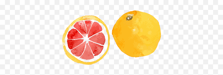 The Benefits Of Grapefruit - Transparent Lemon Water Color Png,Grapefruit Png