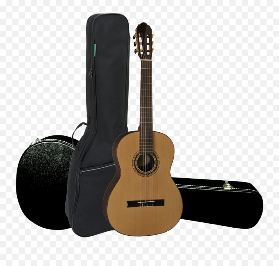 Gewa Guitars - Acoustic Guitars Cases U0026 Bags Gewa Guitar Png,Acoustic Guitar Transparent Background