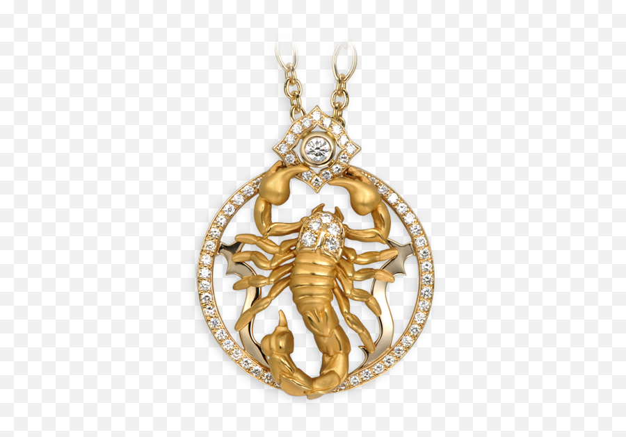 Magerit - Scorpion Collection Necklace Scorpion Locket Png,Scorpion Png
