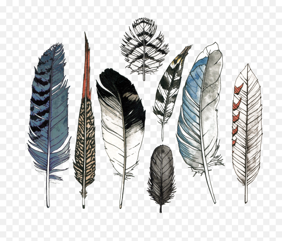 Watercolor Feather Set - Watercolor Feathers Png,Feathers Transparent