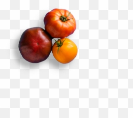 Bar Sybanne - Plum Tomato png