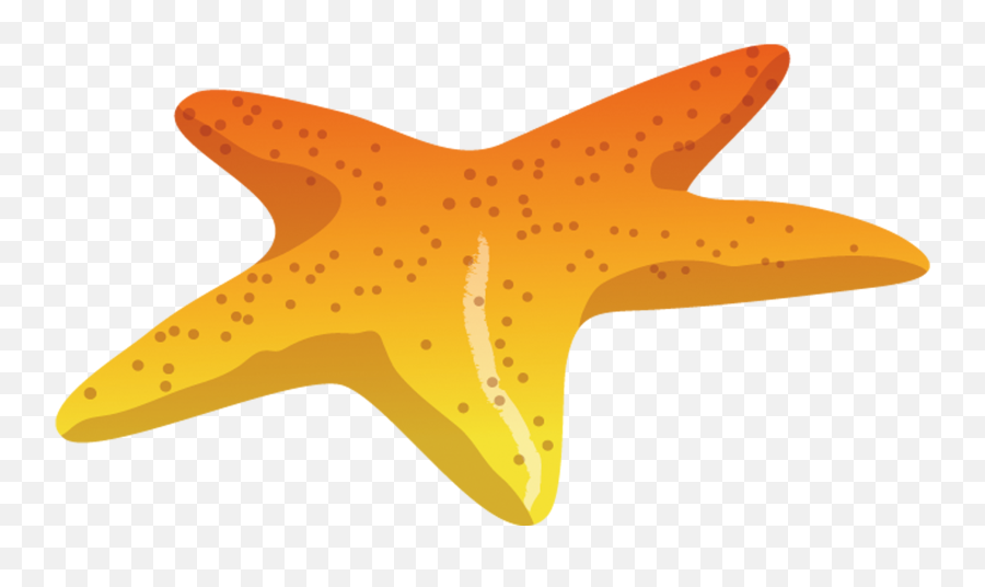 Starfish Sea Download - Deniz Yildizi Png,Starfish Transparent Background