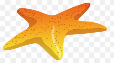 Starfish Sea Download - Deniz Yildizi Png,Starfish Transparent Background