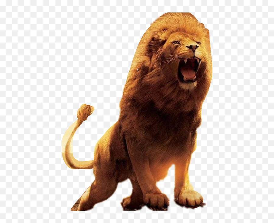 Lion Roar Jesusisking Freetoedit - Transparent Lion Roar Png,Lion Roar Png