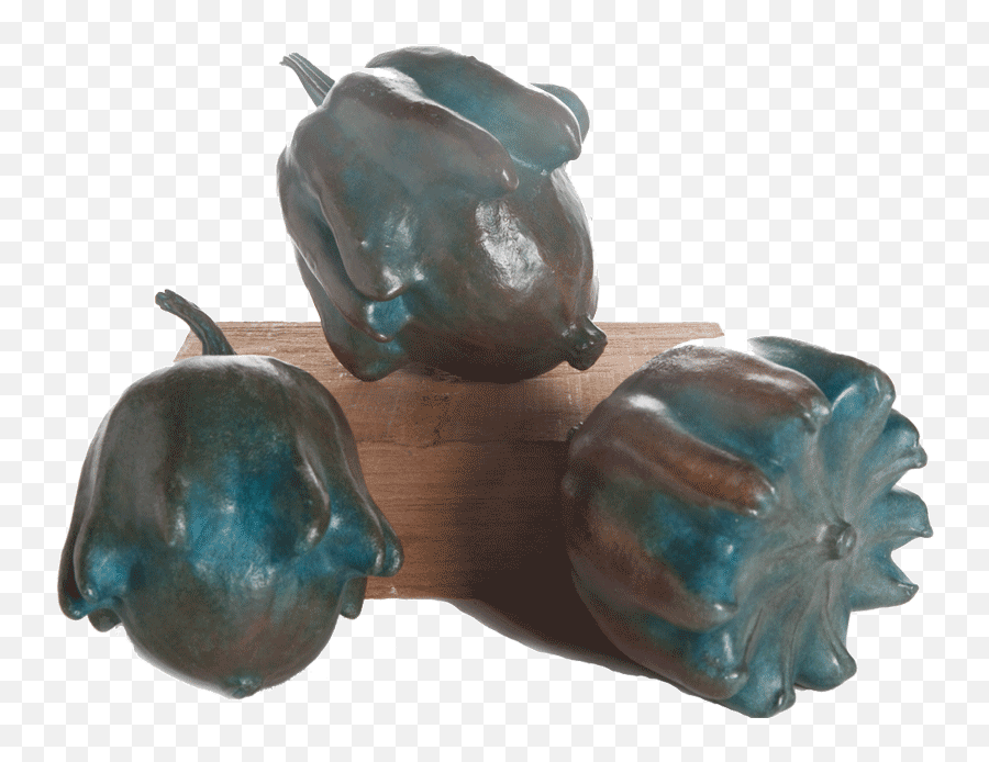 Crown Of Thorns Gourds - Bell Pepper Png,Crown Of Thorns Png