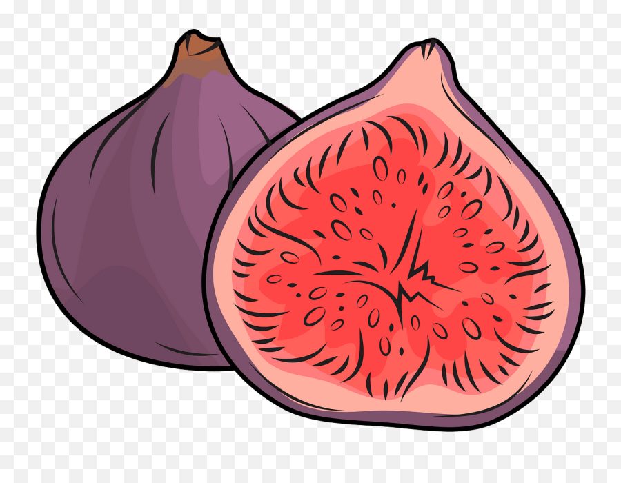 Red Onion - Clipart Image Of Fig Png,Fig Png