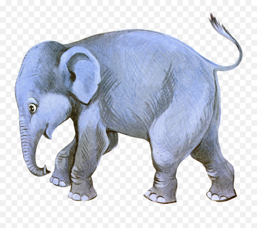 Transparent Png Image Circus Elephant