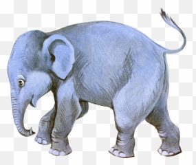 Transparent Png Image Circus Elephant