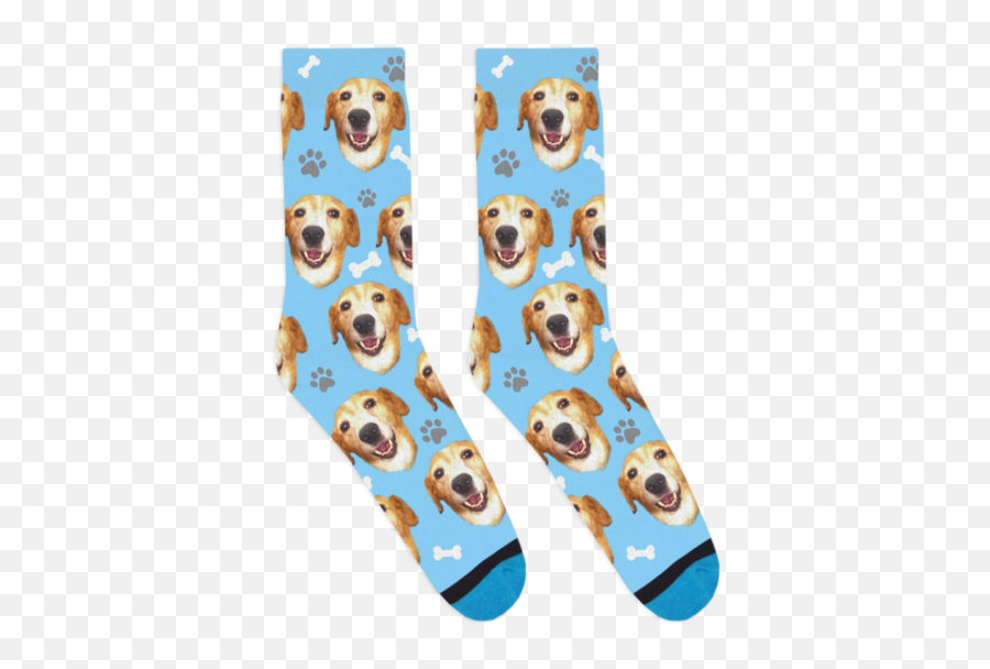 Divvyup Socks - Custom Dog Socks Png,Custom Buddy Icon