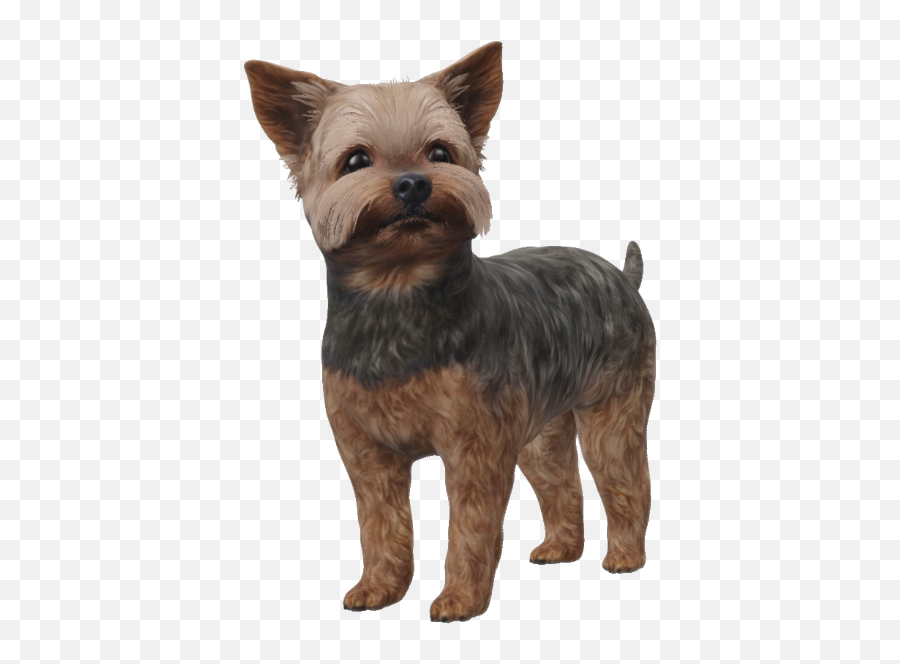 Google 3d Animals U0026 Ar Objects Full List Gallery Png Icon - free  transparent png images 